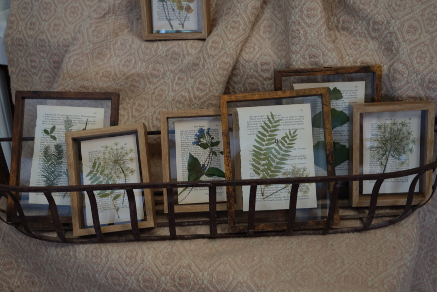 Pressed Botanical Art