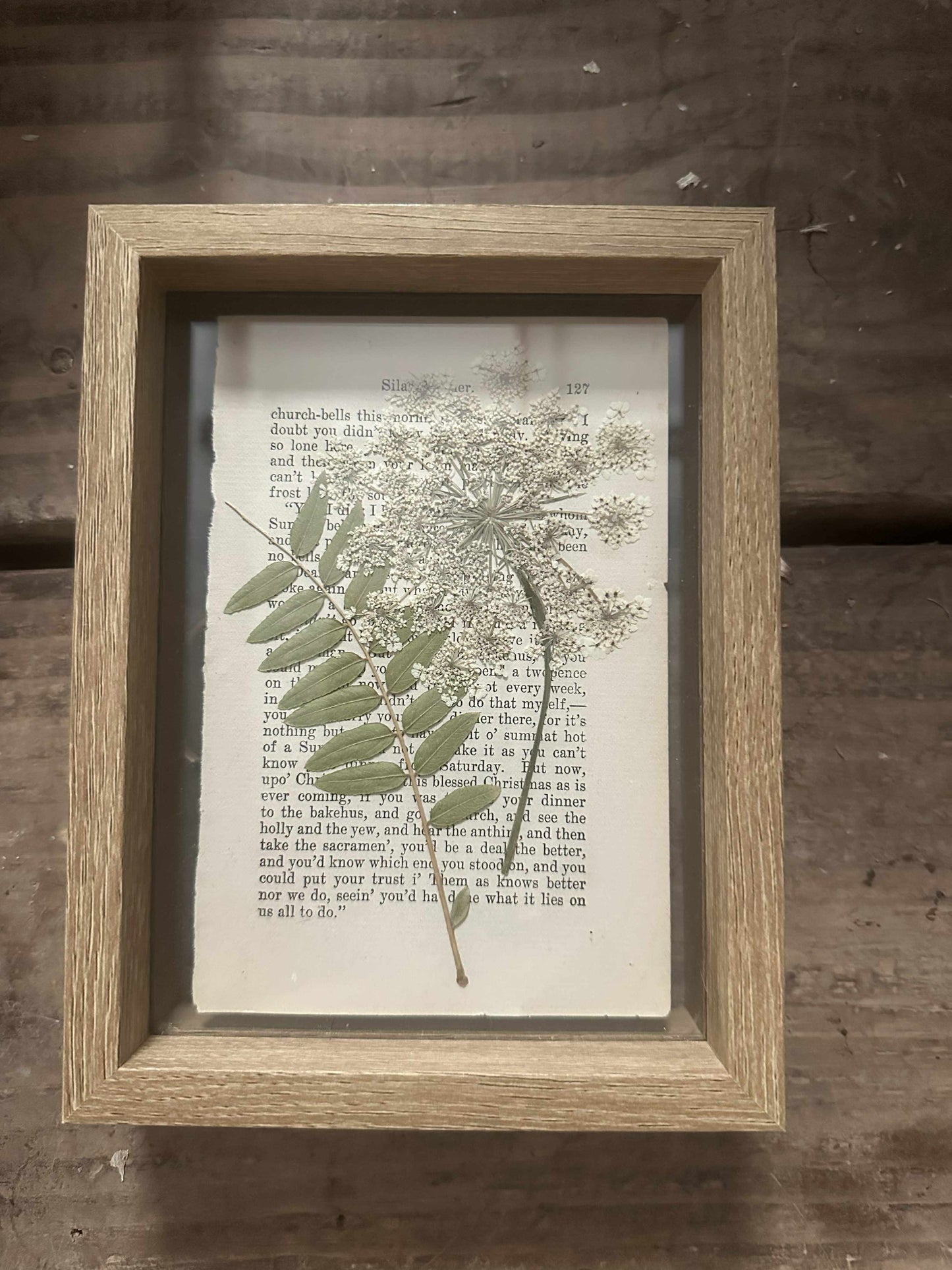 Pressed Wildflower Picture