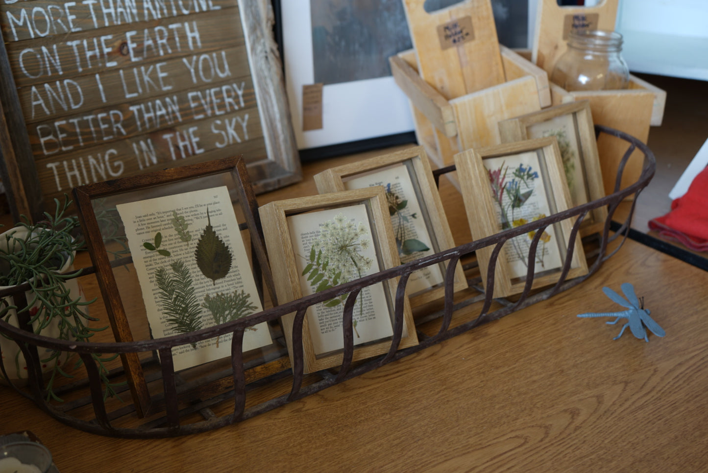 Pressed Botanical Art