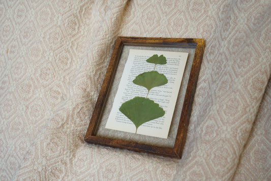 Pressed Botanical Art