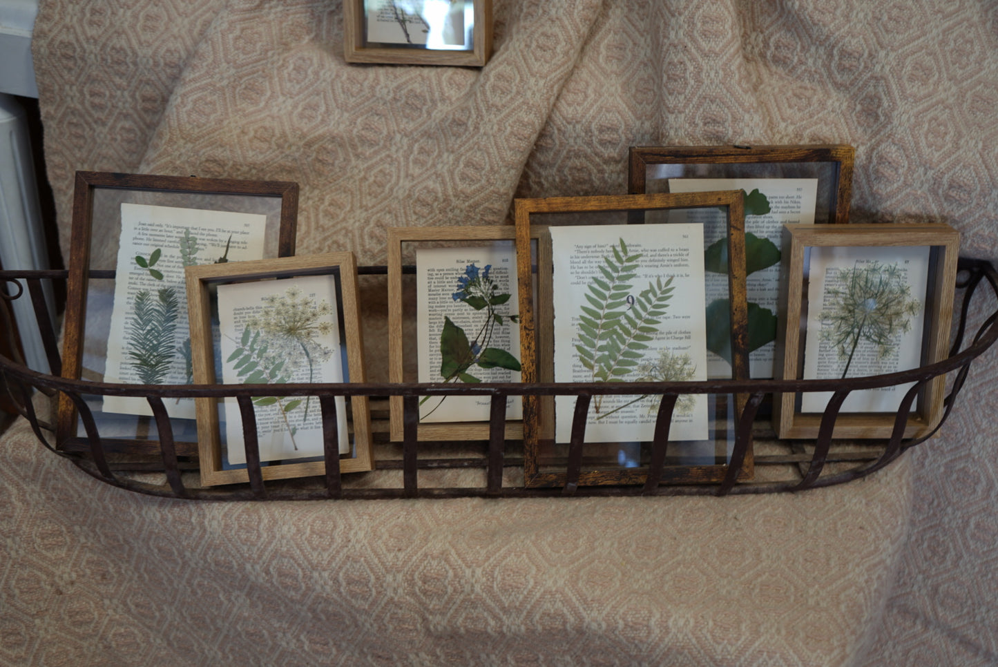 Pressed Botanical Art